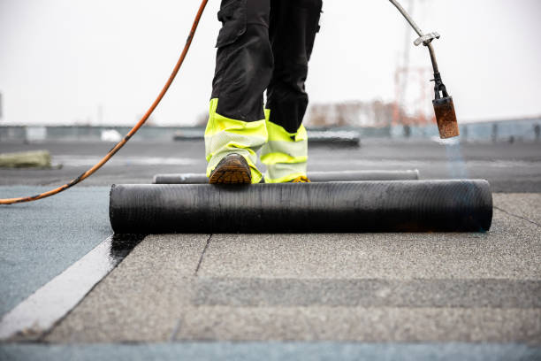 Best Roof Coating and Sealing  in Buckeye Lake, OH